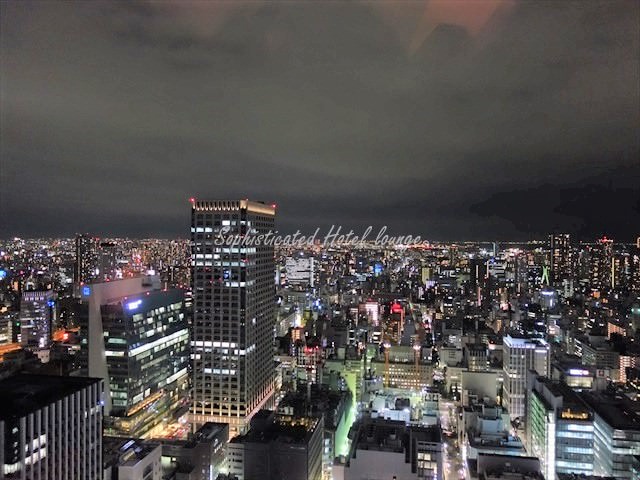 シャングリ・ラ ホテル東京の窓から見える夜景は口コミ通り？