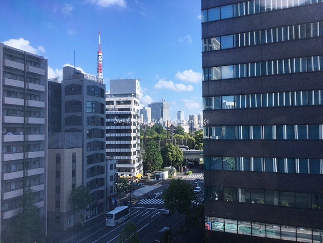 窓から東京タワーが見える